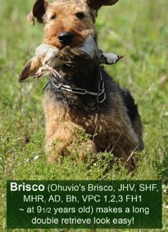 Brisco a seasoned pro